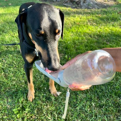 Portable Dog Water Bottle with Built-In Bowl