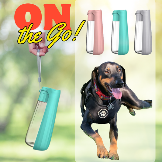 Portable Dog Water Bottle with Built-In Bowl